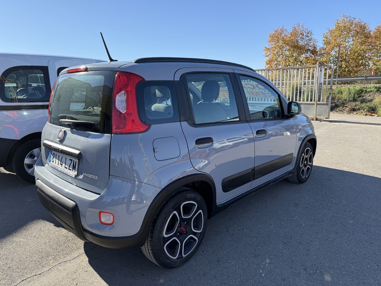 Fiat Panda  City Life Hybrid 1.0 Gse foto 5