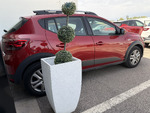 Dacia Sandero Stepway Stepway Expression ECOG - 100cv. miniatura 7