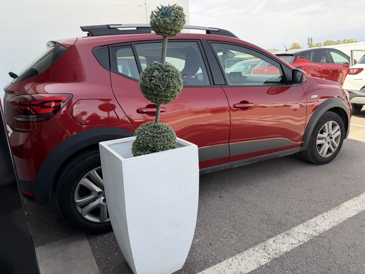 Dacia Sandero Stepway Stepway Expression ECOG - 100cv. foto 7